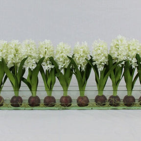 White Hyacinths Glass Plate Planter