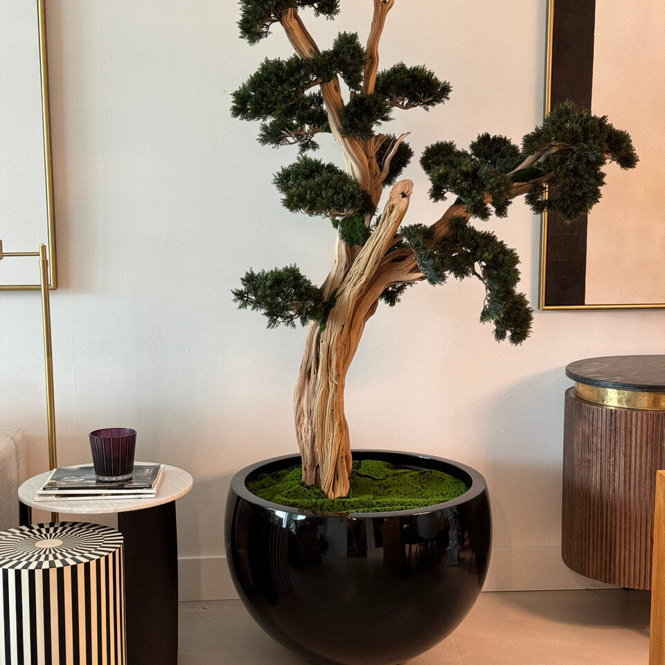 Bonsai Artificial Plant