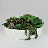 Artificial Succulent Plant
