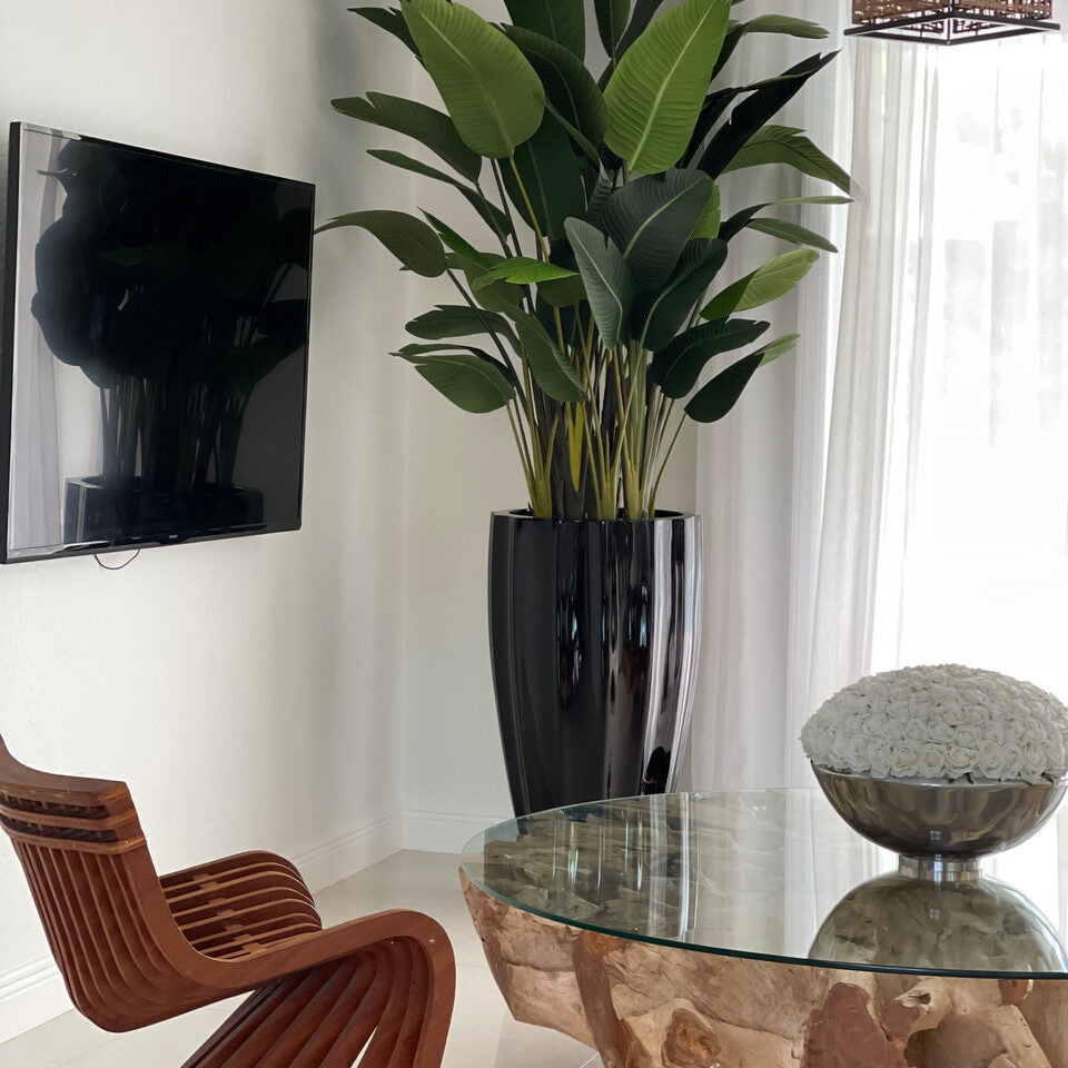 Bird of Paradise in San Jose Fluted Planter – Glossy Black