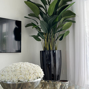 Bird of Paradise in San Jose Fluted Planter – Glossy Black