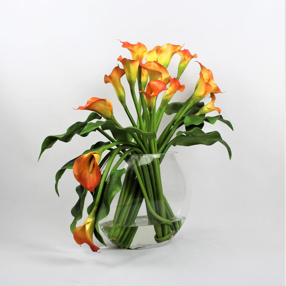 Mango Calla Lilies in the Moon Vase