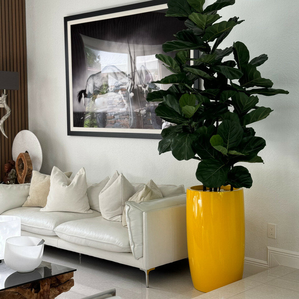Glossy Yellow Lisbon Planter with Fiddle Leaf Tree