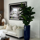 Glossy Cobalt Blue St. Tropez Planter with Fiddle Leaf Tree