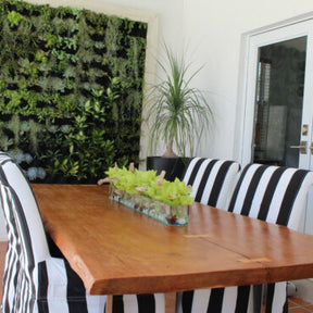 Artificial Orchid Plant · approx. 36 cm