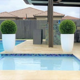 Topiary in Ben L Fibreglass Planter