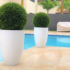 Topiary in Ben L Fibreglass Planter