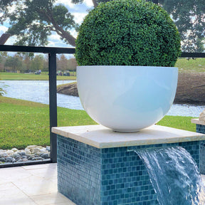 Half Topiary Ball in Large Fibreglass Bowl Planter
