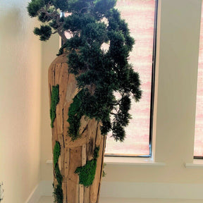 Bonsai Artificial Plant