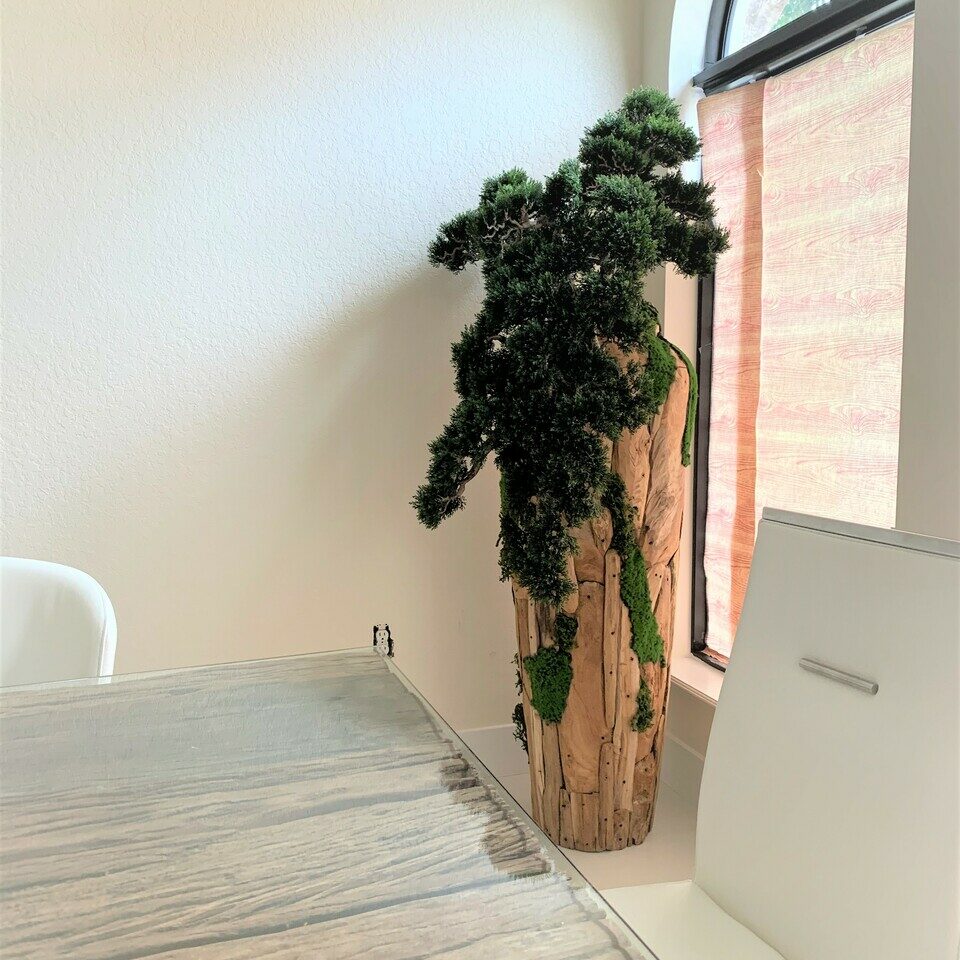 Bonsai Artificial Plant