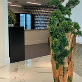 Bonsai Artificial Plant