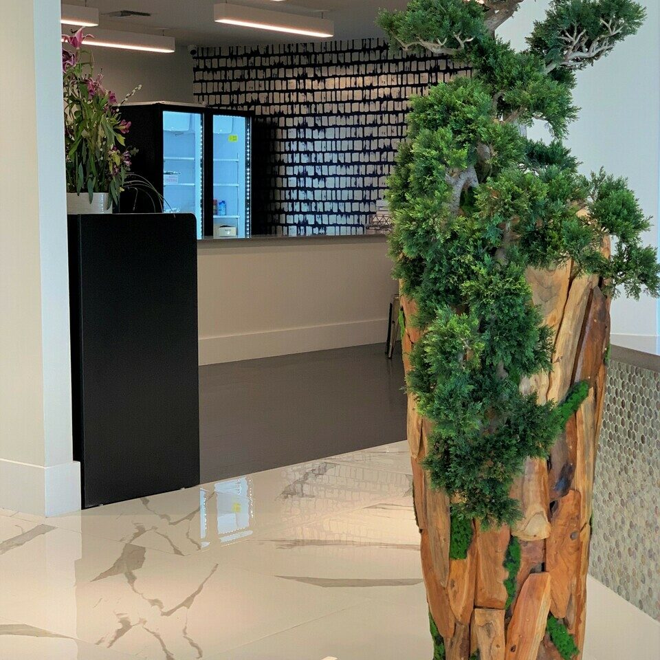 Bonsai Artificial Plant