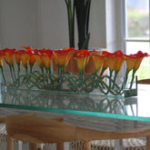 Mango Callas Glass Plate Planter