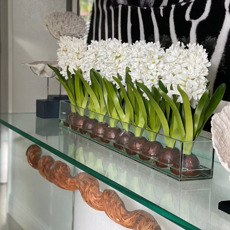 White Hyacinths Glass Plate Planter