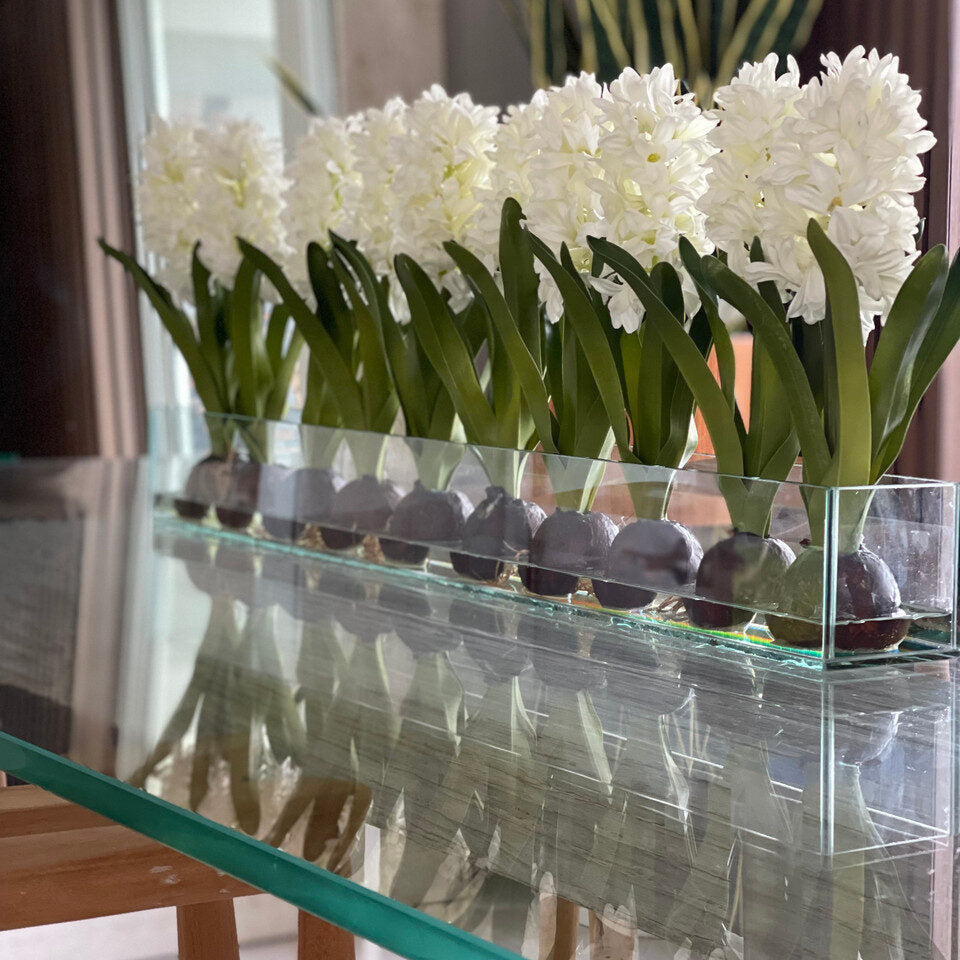 White Hyacinths Glass Plate Planter
