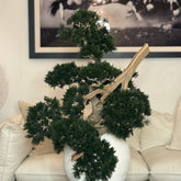 Bonsai Artificial Plant