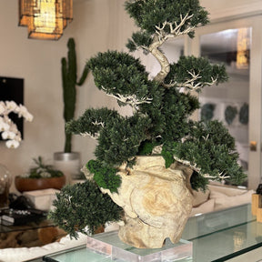 Bonsai Artificial Plant