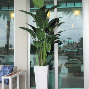 Medium Beau Planter in Glossy White with Bird of Paradise