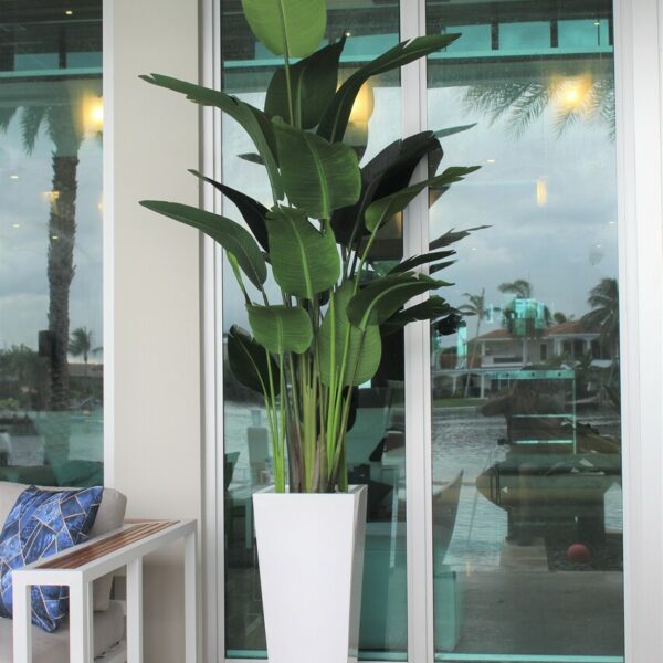 Medium Beau Planter in Glossy White with Bird of Paradise