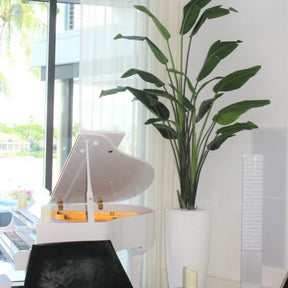 XL Dax Planter with 9 Ft Bird of Paradise