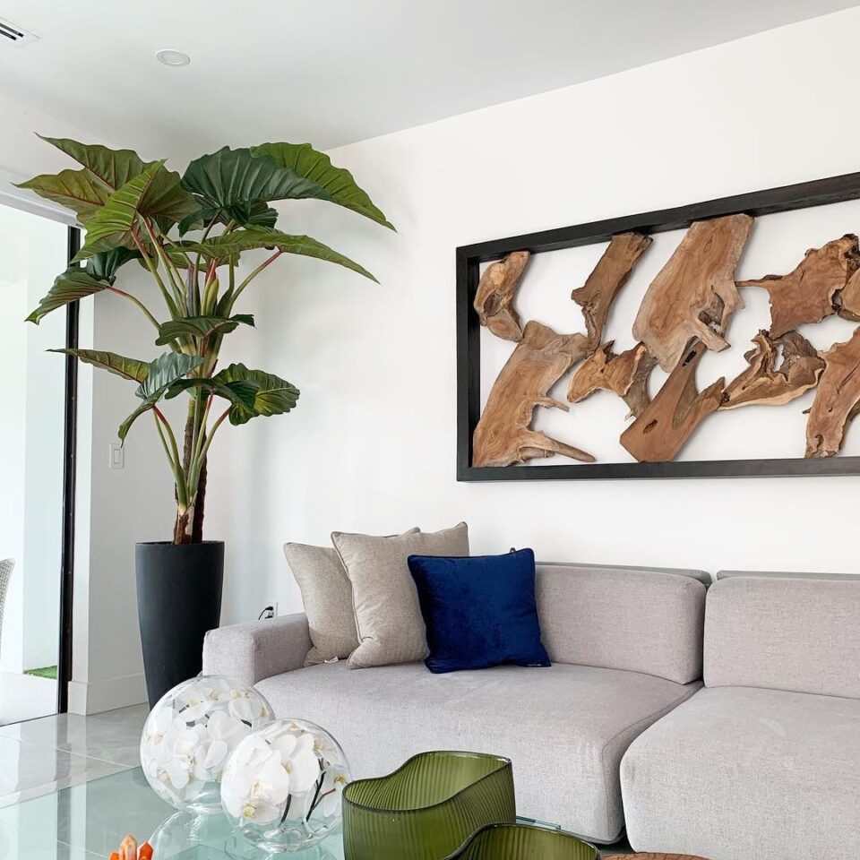 Ashton Planter in Black with Red Prince Alocasia