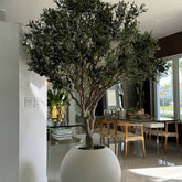 Olive Tree Artificial Plant