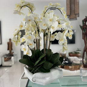 Artificial Orchid Plant