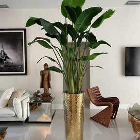 Bird of Paradise in Gold Hammered Planter