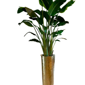 Bird of Paradise in Gold Hammered Planter