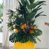 Tropical Mix Plants in Yellow Globe Planter