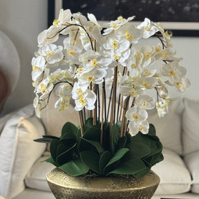 Artificial Orchid Plant