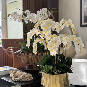 Artificial Orchid Plant