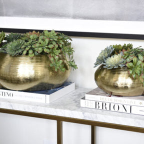 Artificial Succulent Plant