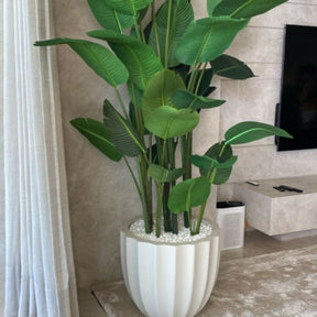 Bird of Paradise in Matte Beige Santa Barbara Planter