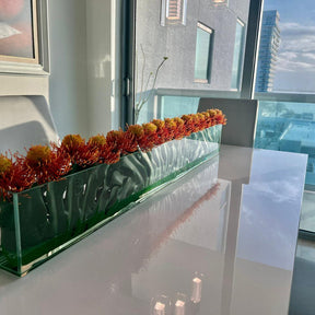 Orange Gelb Protea Flowers  Skinny