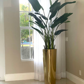 Bird of Paradise in Gold Cone Planter