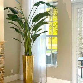 Bird of Paradise in Gold Cone Planter