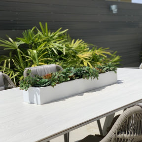 Artificial Succulent Plant