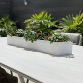 Artificial Succulent Plant