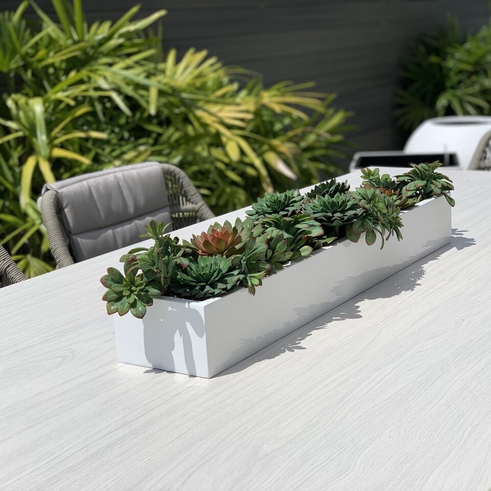 Artificial Succulent Plant