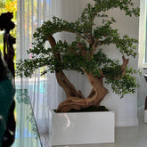 Bonsai Artificial Plant