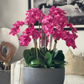 Artificial Orchid Plant