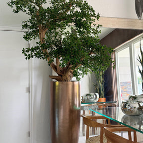 Bonsai Artificial Plant